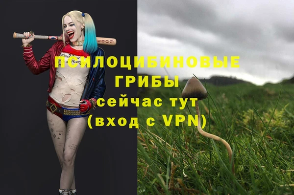 бутират Богородск