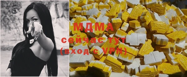 ПСИЛОЦИБИНОВЫЕ ГРИБЫ Богданович