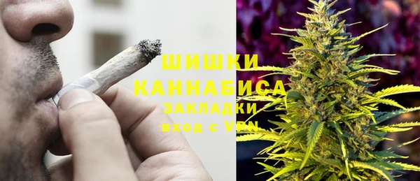 дмт Белокуриха