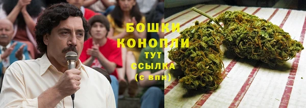 ПСИЛОЦИБИНОВЫЕ ГРИБЫ Богданович