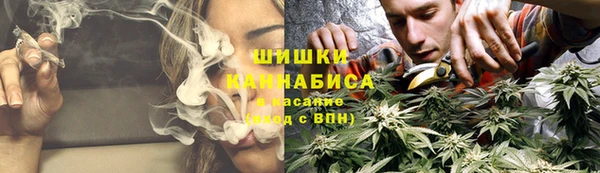 дмт Белокуриха
