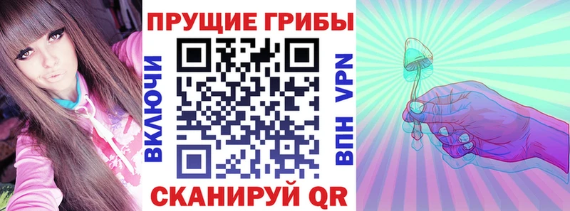 Галлюциногенные грибы MAGIC MUSHROOMS где купить Духовщина