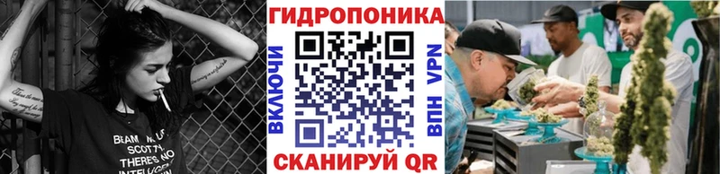 купить наркоту  Духовщина  Конопля индика 